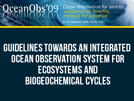 Guidelines Towards an Integrated Ocean Observation System for Ecosystems and Biogeochemical Cycles
