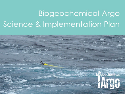 The Rationale, Design, and Implementation Plan for Biogeochemical-Argo